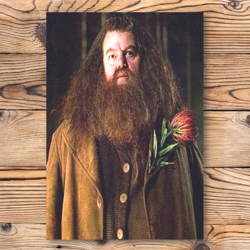 Harry Potter Rubeus Hagrid Refrigerator Locker Fridge‎ Magnet